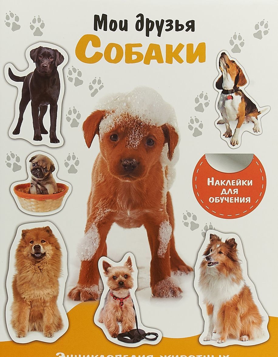 

Мои друзья собаки
