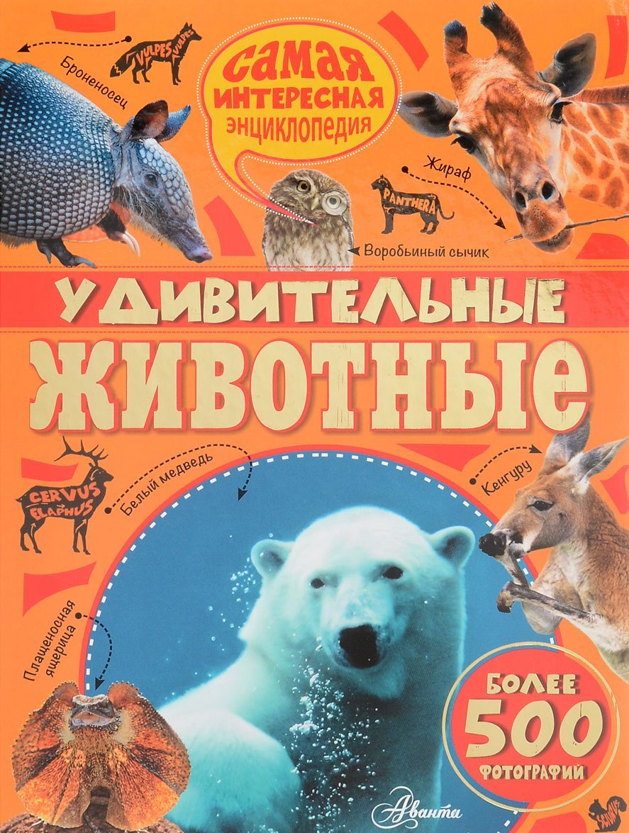 

Удивительные животные