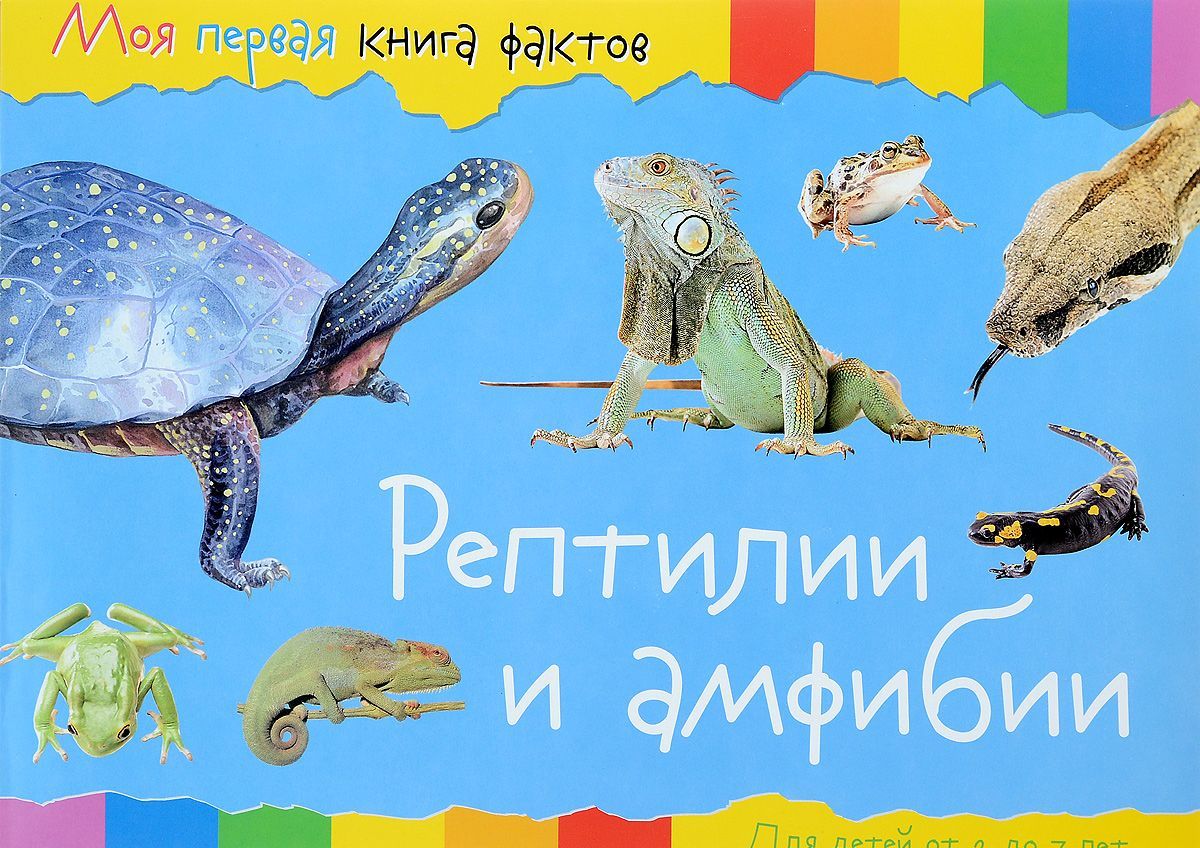 

Рептилии и амфибии