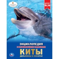 

Киты. Дельфины и косатки (18265485)
