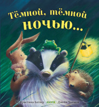 

Тёмной, тёмной ночью... (18262729)