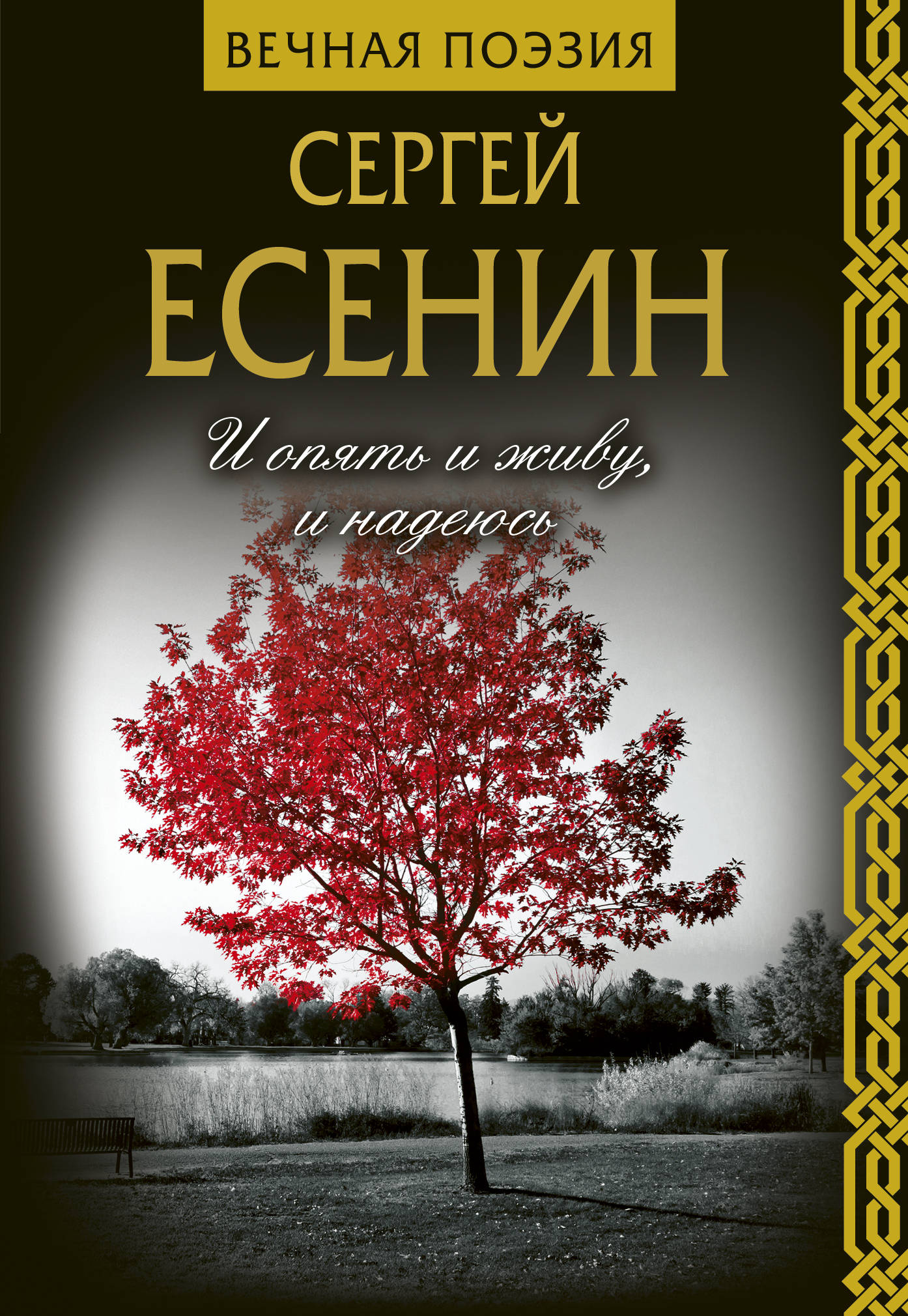 

И опять и живу, и надеюсь