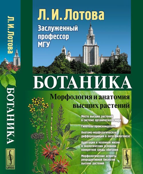 

Ботаника. Морфология и анатомия высших растений
