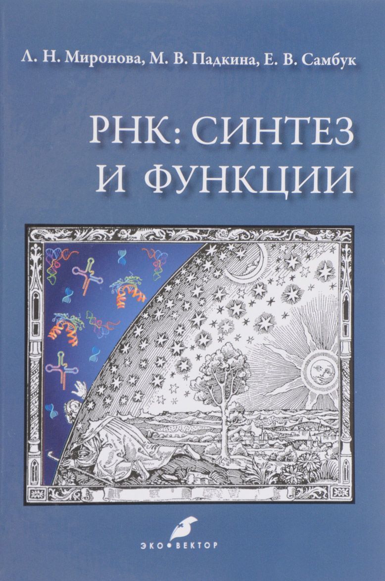 

РНК. Синтез и функции