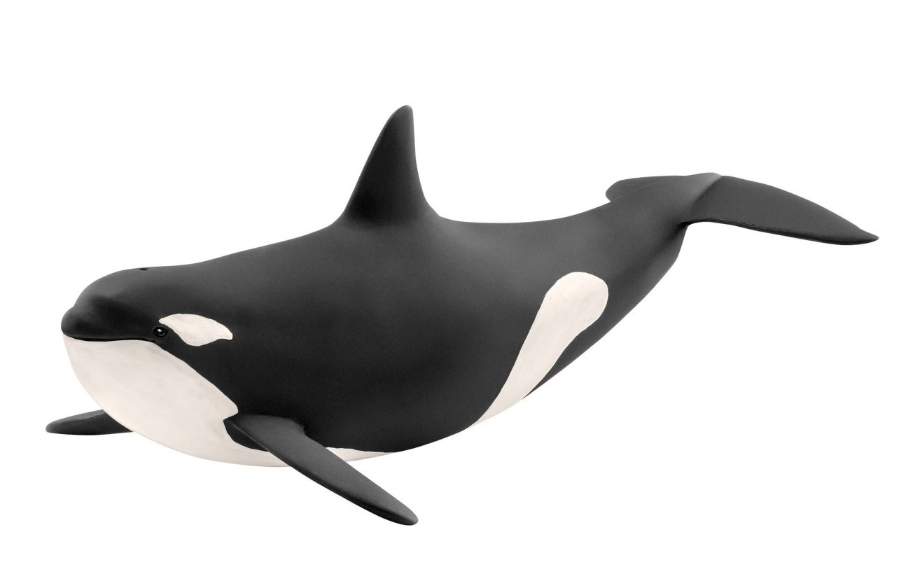 

Косатка, игрушка-фигурка, Schleich (14807)