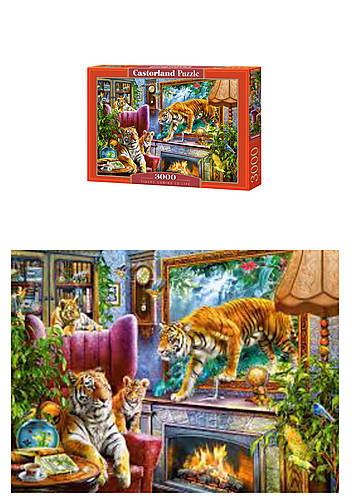 

Castorland пазлы 3000 "Тигры.Возвращение в реальность" CASTORLAND (С-300556)