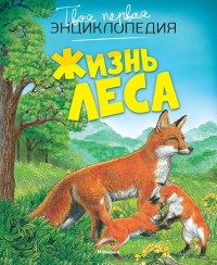 

Жизнь леса (13508063)