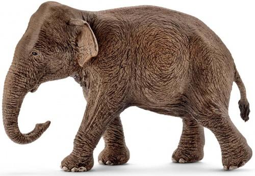 

Игрушка-фигурка Азиатская слониха, Schleich