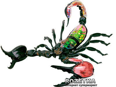 Акция на Объемная анатомическая модель 4D Master Скорпион (26113) от Rozetka UA