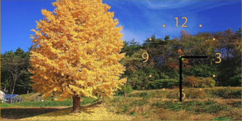 

Настенные часы ART-LIFE COLLECTION W-S-2550-C01-00015-T
