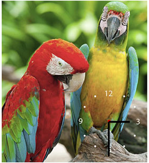 

Настенные часы ART-LIFE COLLECTION W-S-4045-C01-00005-T