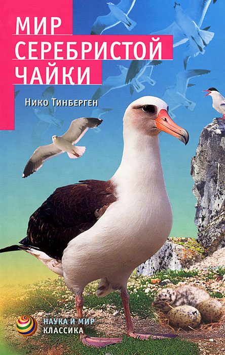 

Мир серебристой чайки