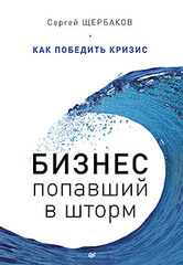 

Бизнес, попавший в шторм. Как победить кризис