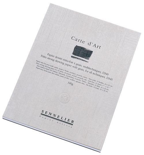 

Блокнот для эскизов Sennelier Carte d'art, 15 листов, 340 г/м2 (14,8х21 см)