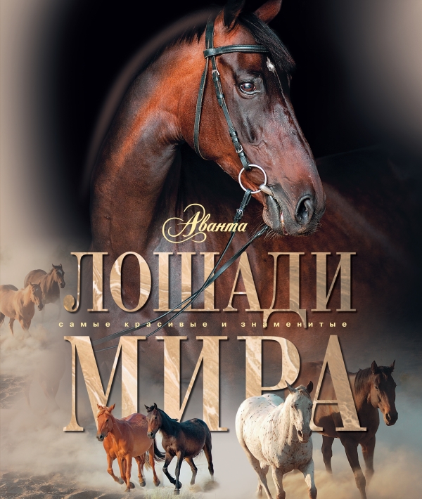 

Лошади мира