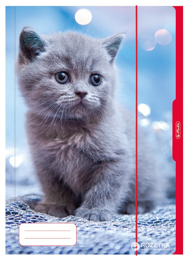 

Папка для рисунков Herlitz Kitti А3 на резинке (10285674)