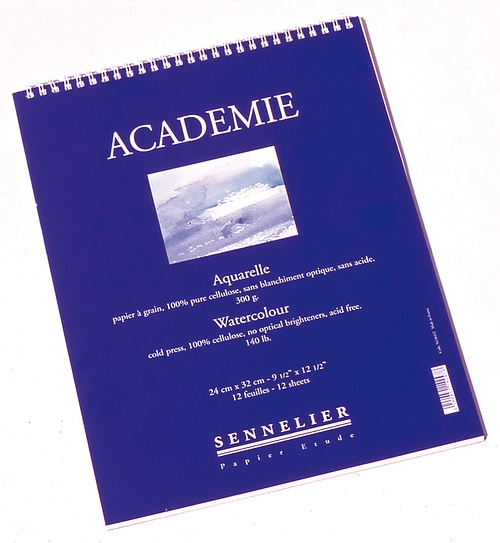 

Набор бумаги для акварели Sennelier, 12 листов, 16х24 см (N138453)