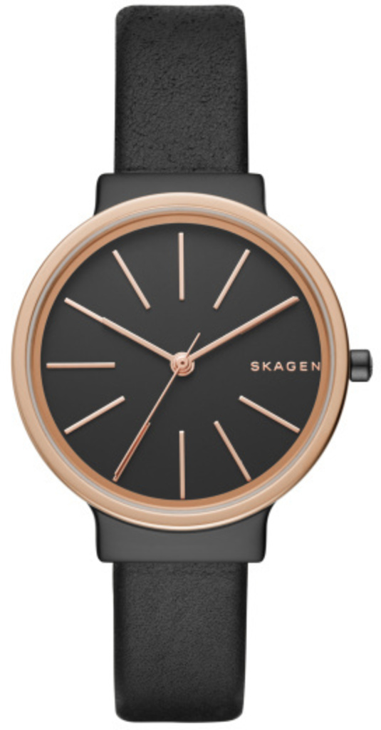 

Женские часы Skagen SKW2480
