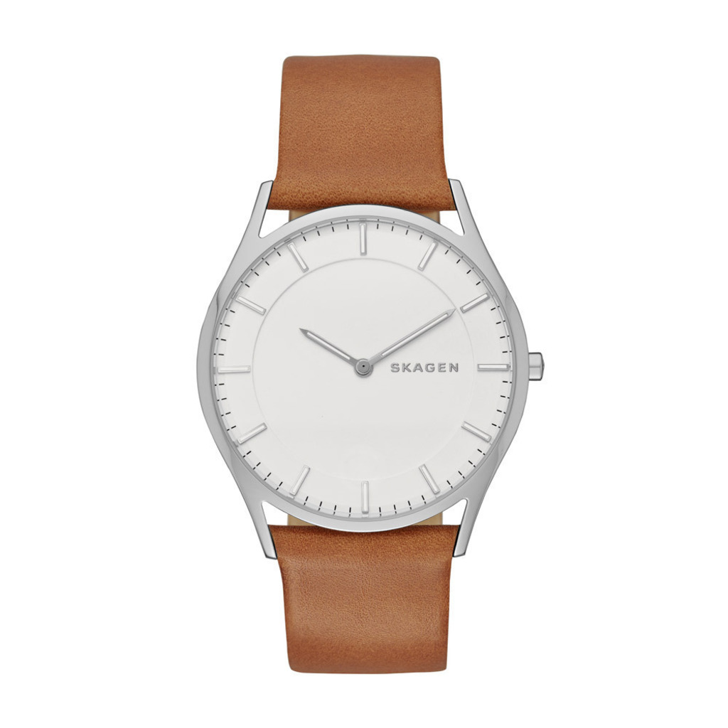 

Мужские часы Skagen SKW6219