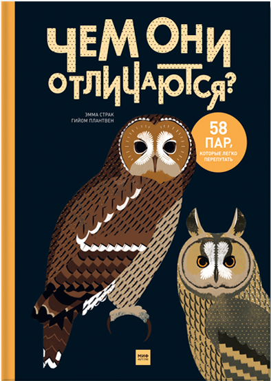 

Чем они отличаются 58 пар, которые легко перепутать (978-5-00100-306-9 - 78938)