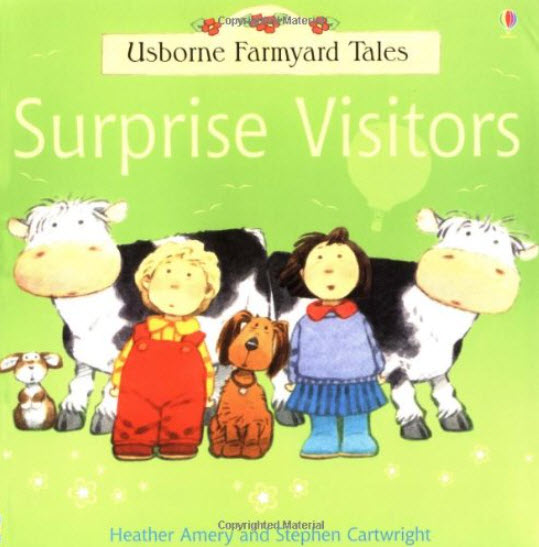 

Suprise Visitors - Heather Amery and Stephen Cartwright (0746062109)