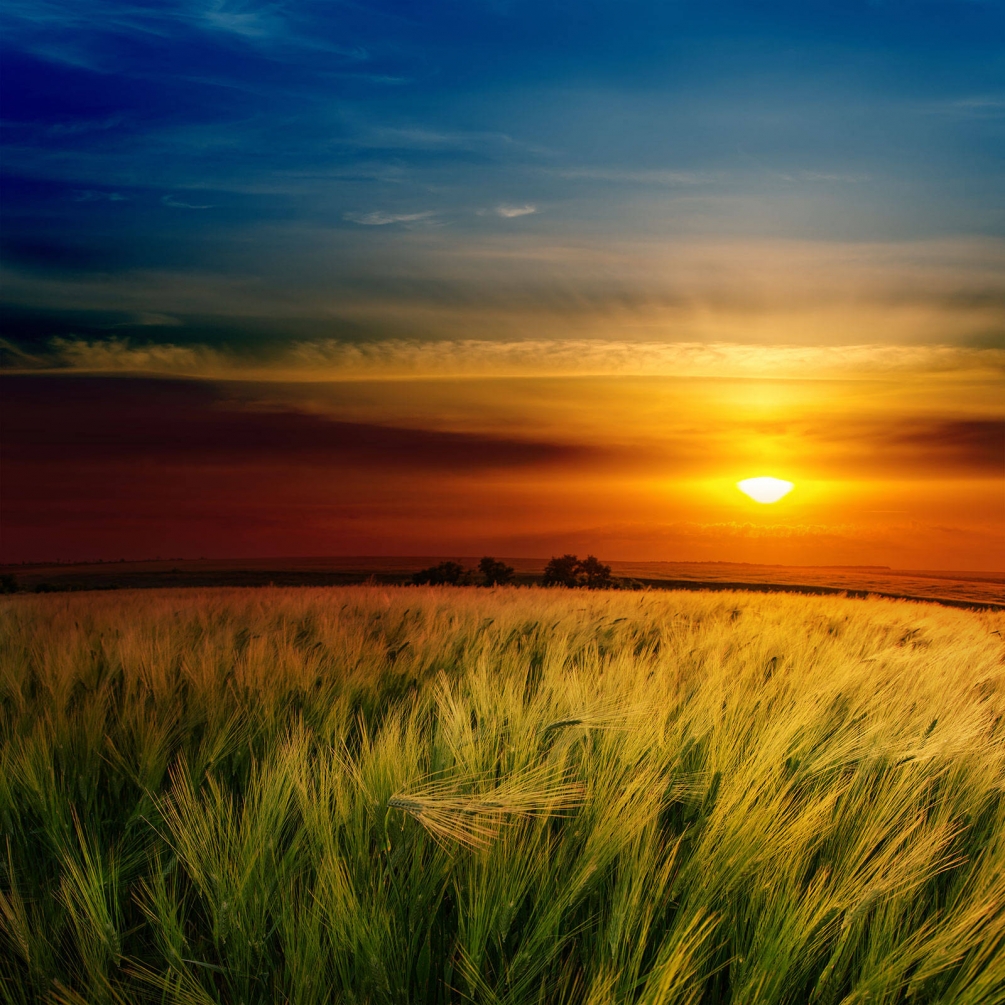 

Фотообои Арт-Обои Провинция №27900 Лоск