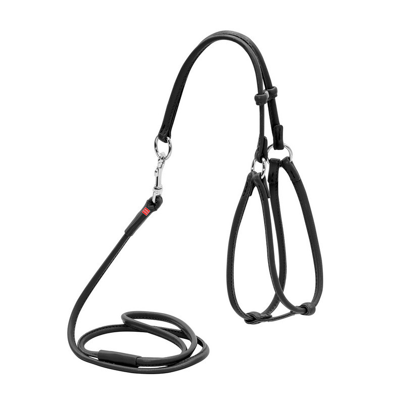 

Шлея круглая WAUDOG Glamour кожа черный с поводком для кошек и мелких собак 34011 (4820152565945)