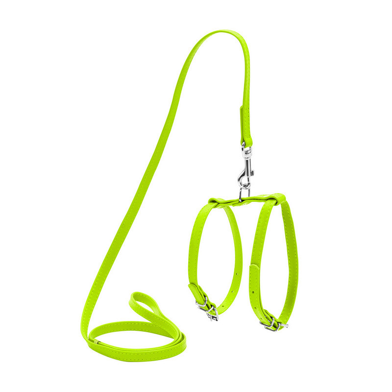 

Шлея WAUDOG Glamour кожа салатовый с поводком для кошек и мелких собак 33995 (4820152563347)