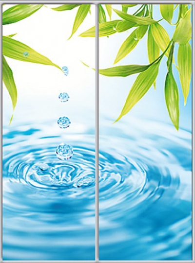 

Шкаф купе Luxe Studio Стандарт-1 Фотопечать Природа 1600x2000x450 двухдверный