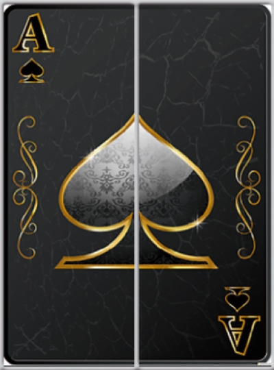 

Шкаф купе Luxe Studio Стандарт-1 Фотопечать Игры 1700x2200x450 двухдверный