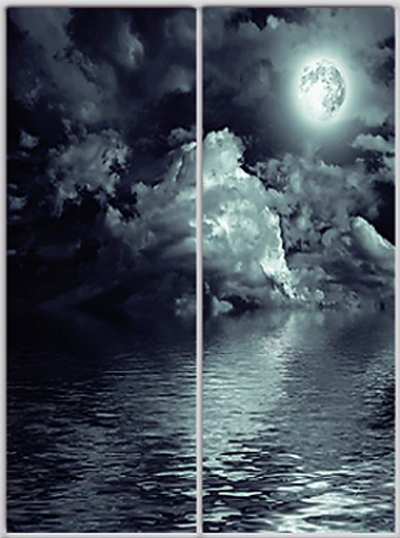 

Шкаф купе Luxe Studio Стандарт-1 Фотопечать Природа-5 1400x2000x450 двухдверный