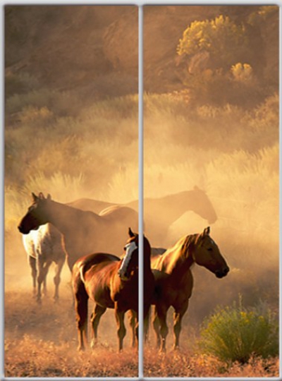 

Шкаф купе Luxe Studio Стандарт-1 Фотопечать Животные-3 1800x2100x450 двухдверный