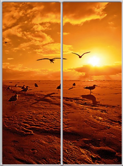 

Шкаф купе Luxe Studio Стандарт-1 Фотопечать Природа-1 1300x2100x450 двухдверный