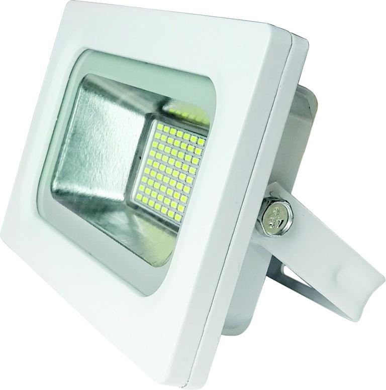 

Прожектор Economka LED 50w 6500K IP65 (4820172680543)