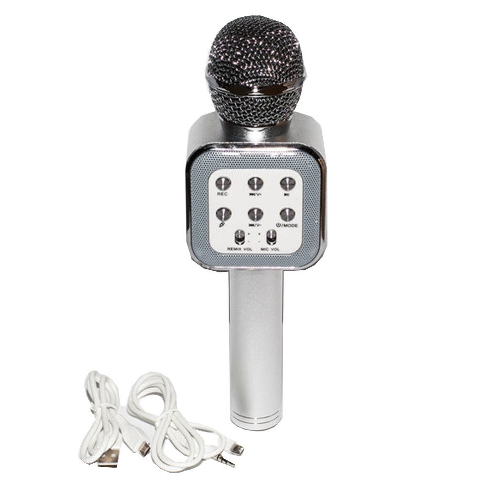 

Микрофон DM Karaoke WS 1818 беспроводной