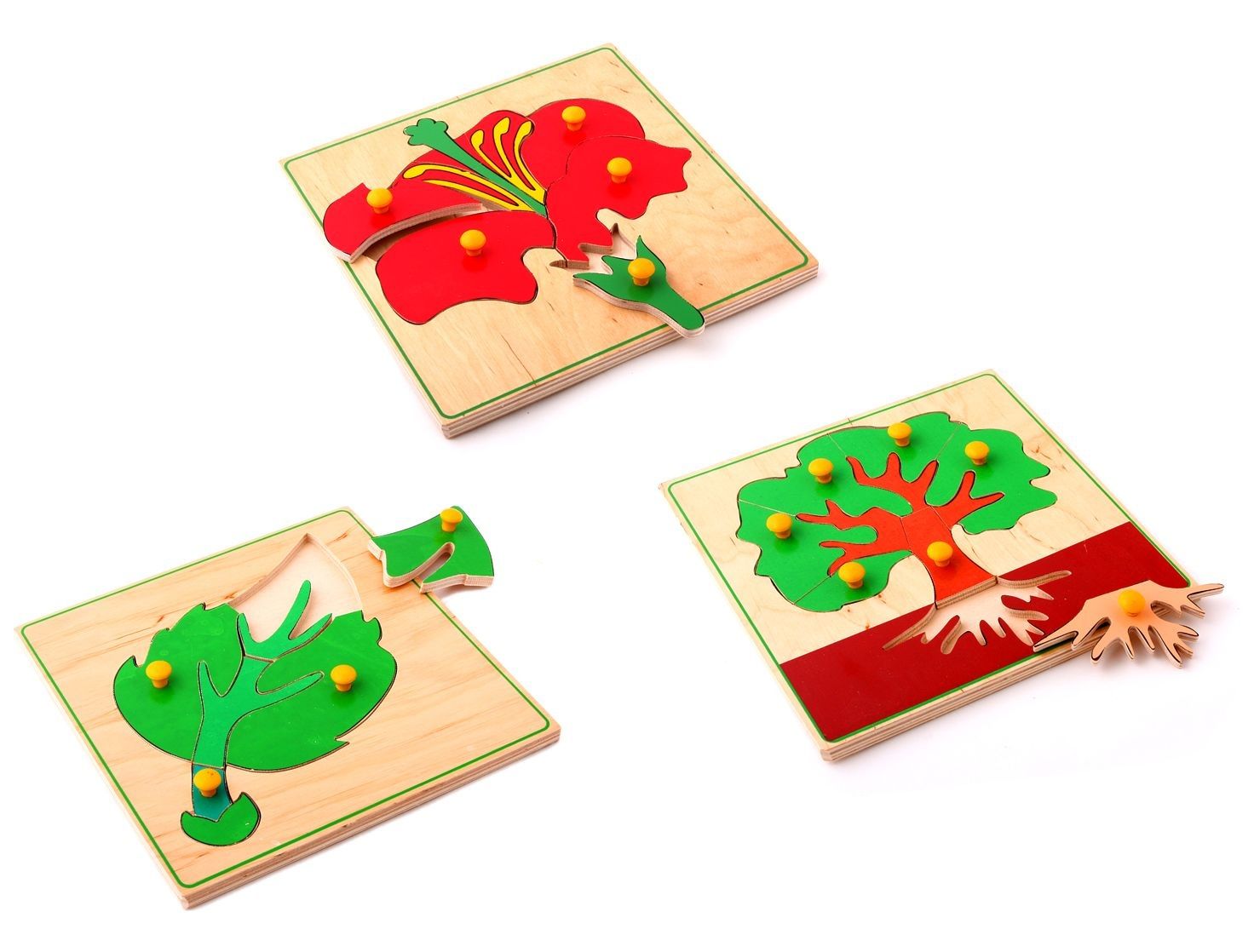 

Мозаика Биология 16 деталей Lam Toys 20х20х0,9 см Разноцветный 000014310