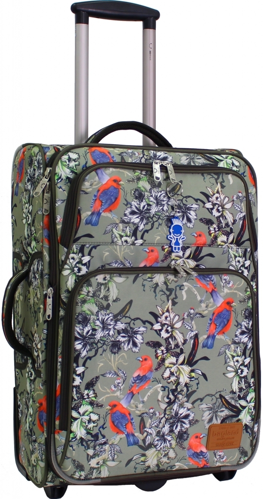

Чемодан Леон 51 л. Bagland 60x38x22 см Разноцветный 000013600