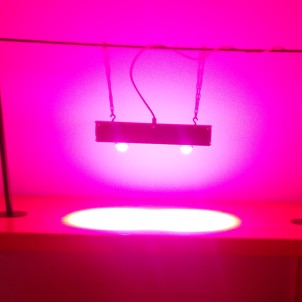 

Фитопанель 120 W Магнифер Дуо 110 Голд(Magnifer DUO Gold)