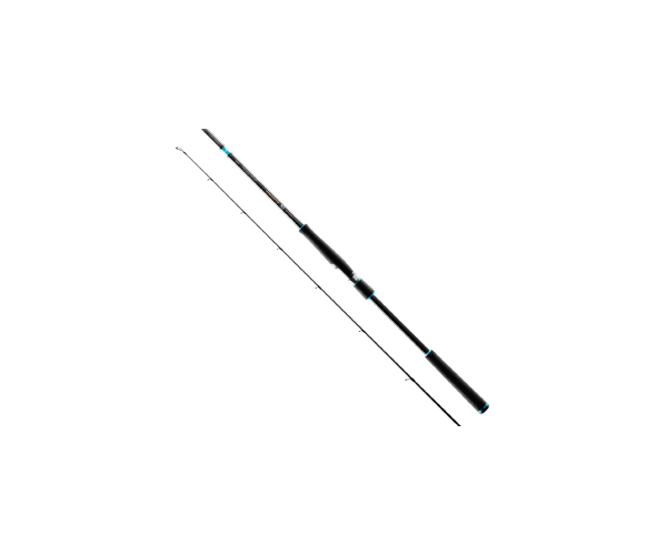 

Спиннинг Favorite SW X1 Shore 962EXH 2.92m 20-70g 2-3lb Fast (арт.123418780614)