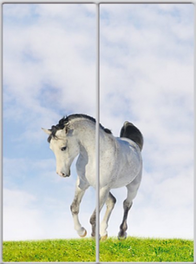 

Шкаф купе Luxe Studio Стандарт-1 Фотопечать Животные-4 1900x2000x600 двухдверный