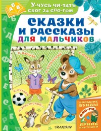 

Сказки и рассказы для мальчиков (18276671)
