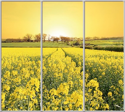 

Шкаф купе Luxe Studio Стандарт-1 Фотопечать Природа-43 2100x2200x450 трехдверный