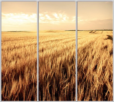 

Шкаф купе Luxe Studio Стандарт-1 Фотопечать Природа-128 2100x2000x450 трехдверный