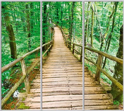 

Шкаф купе Luxe Studio Стандарт-1 Фотопечать Природа-159 2100x2100x450 трехдверный