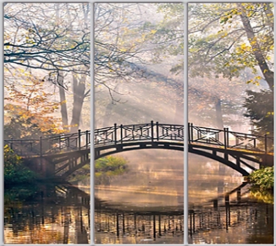 

Шкаф купе Luxe Studio Стандарт-1 Фотопечать Природа-177 2100x2200x450 трехдверный