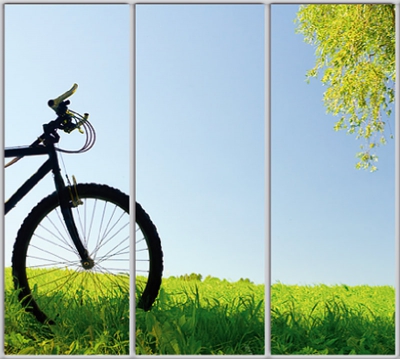 

Шкаф купе Luxe Studio Стандарт-1 Фотопечать Природа-16 2100x2200x450 трехдверный