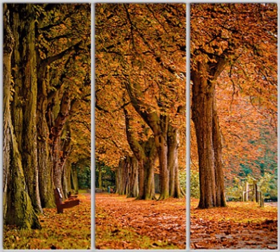 

Шкаф купе Luxe Studio Стандарт-1 Фотопечать Природа-134 2100x2100x450 трехдверный