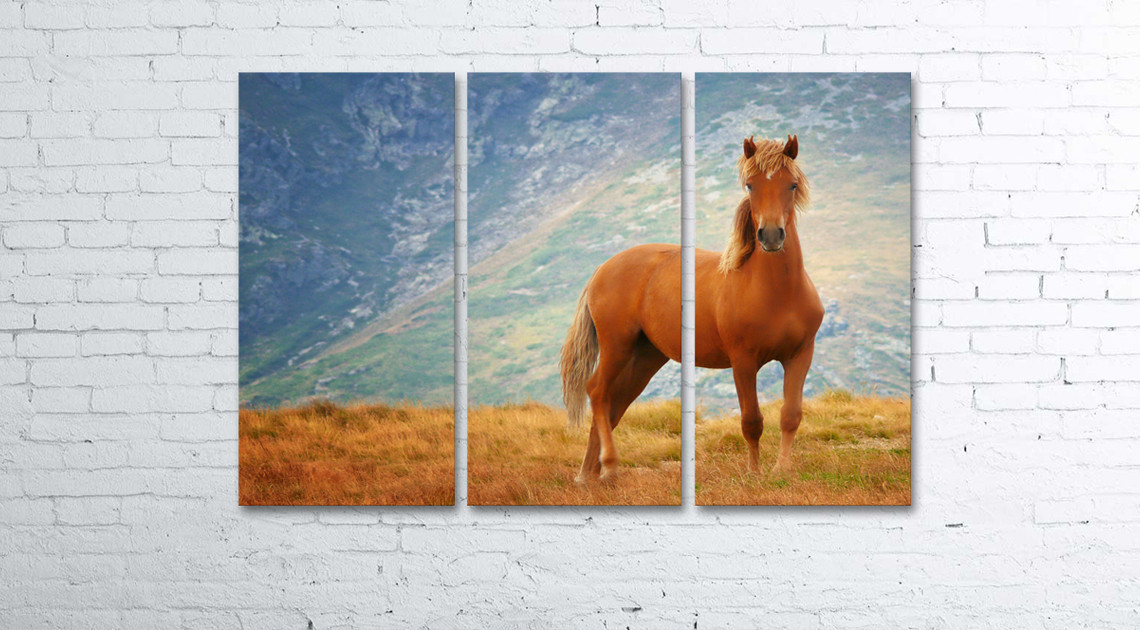 

Модульная картина на холсте 3 в 1 Рыжий конь 80х120 см