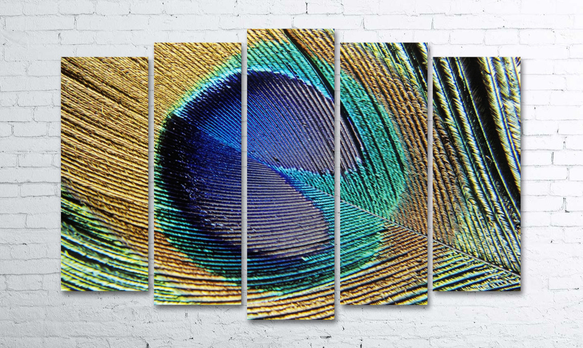 

Модульная картина на холсте 5 в 1 Перо павлина 100х150 см