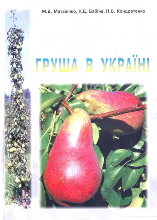 

Груша в Україні (887570)